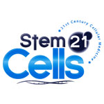 stem_21_cells